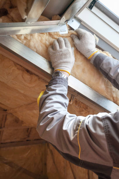 Best Residential Insulation in Brainerd, MN